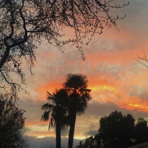 Meet your Posher, Sm